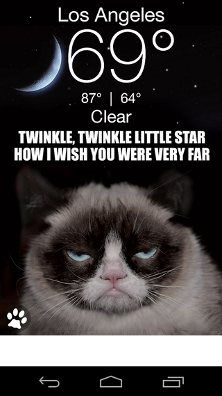 Illustration for article titled The Grumpy Cat Weather App Won't Sugar Coat Things For You